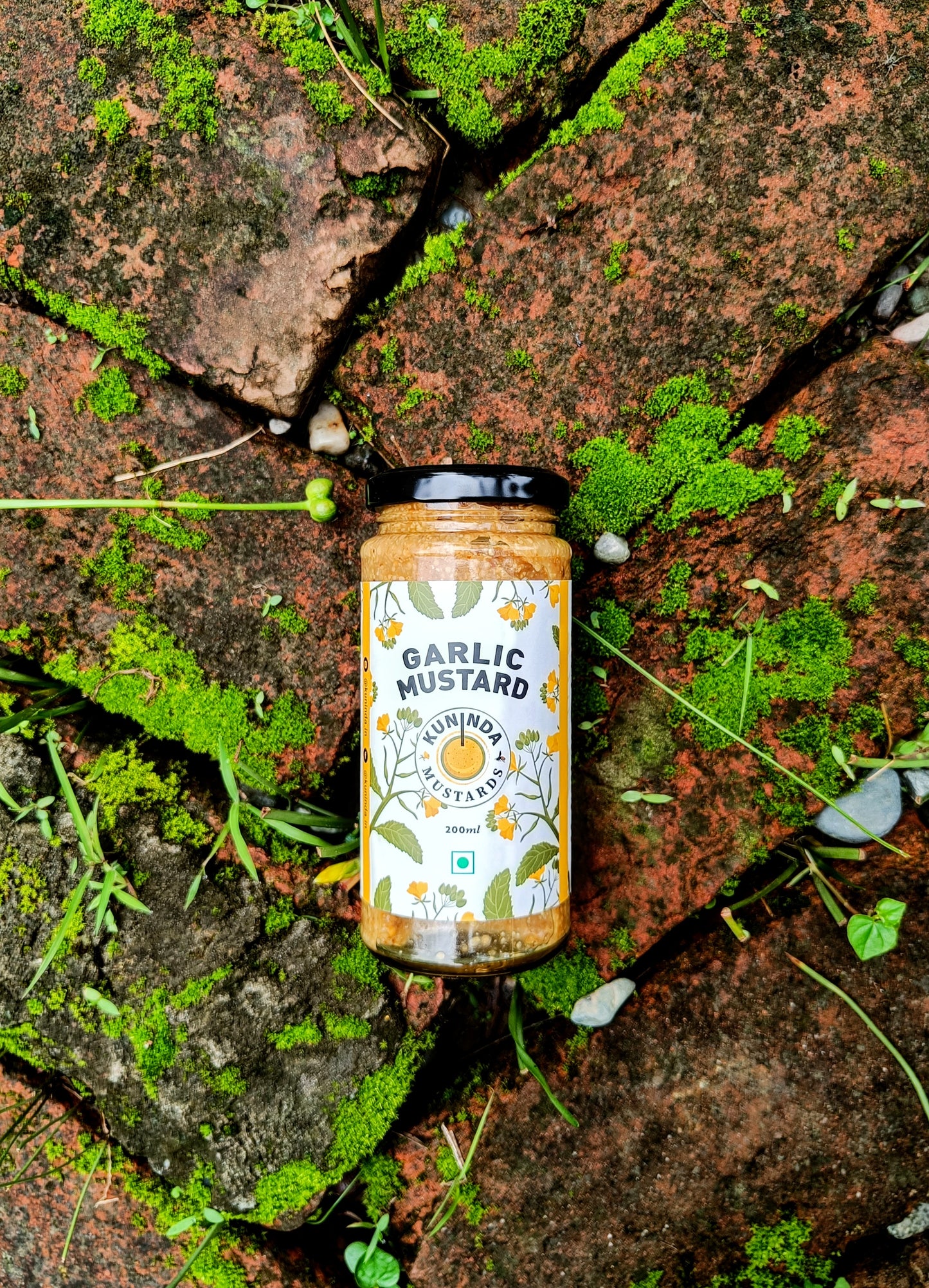 Kuninda Garlic Mustard