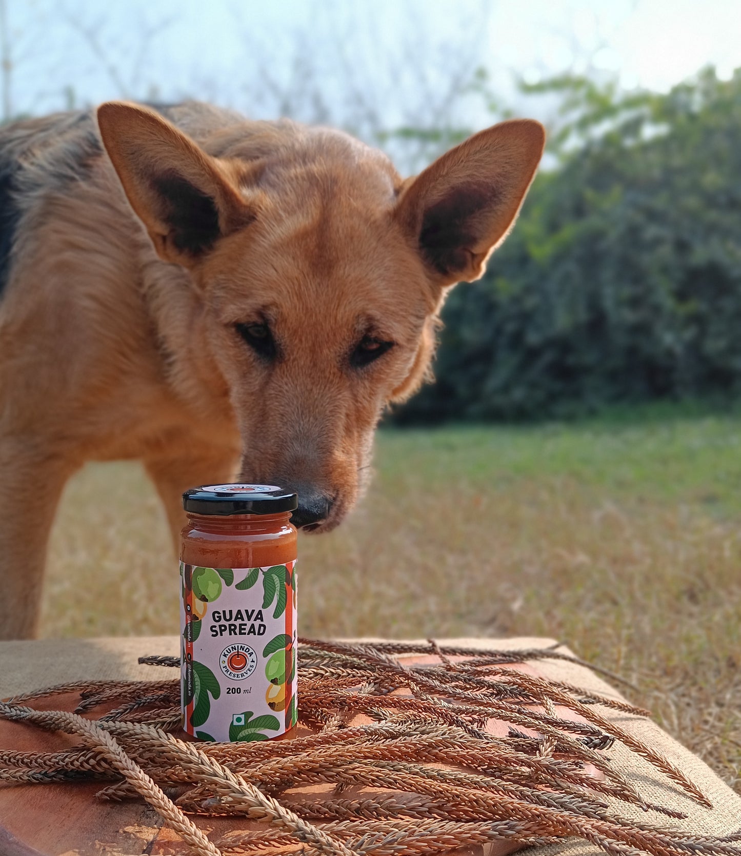Kuninda Guava Spread
