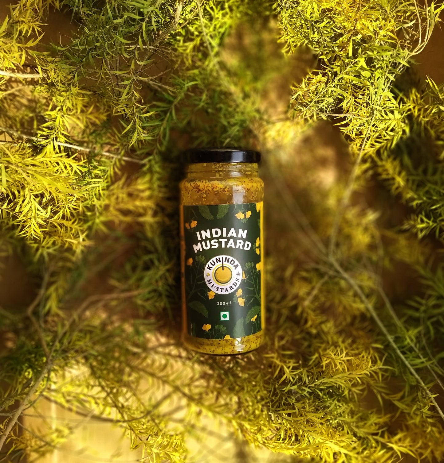 Kuninda Indian Mustard