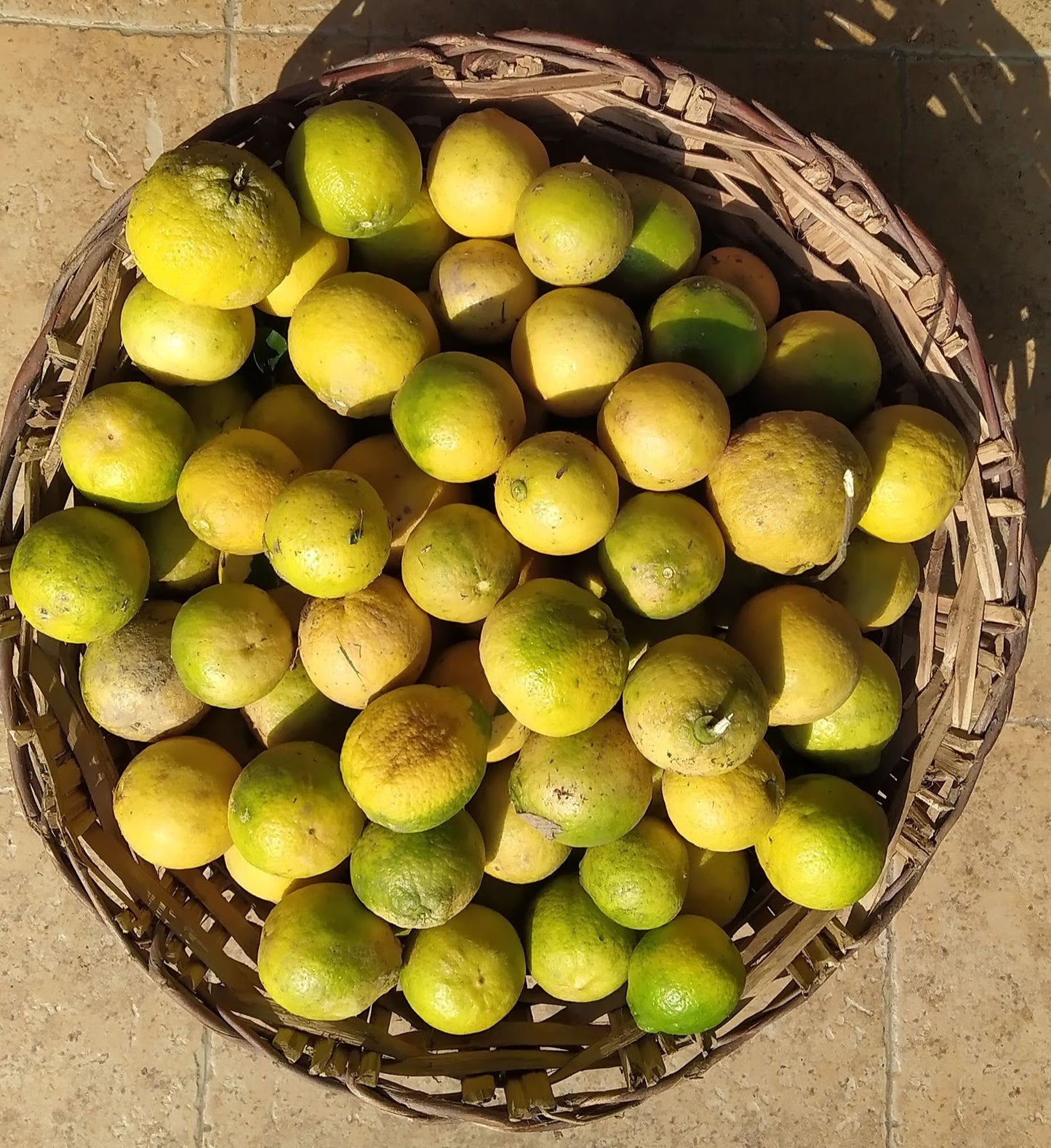 Kuninda Lemon Marmalade